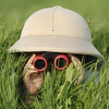iStock_000001571632Udblikkikkert